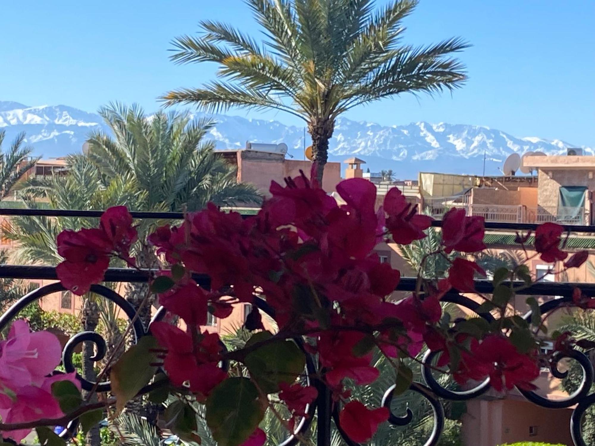 Riad Palmier Fleuri 马拉喀什 外观 照片