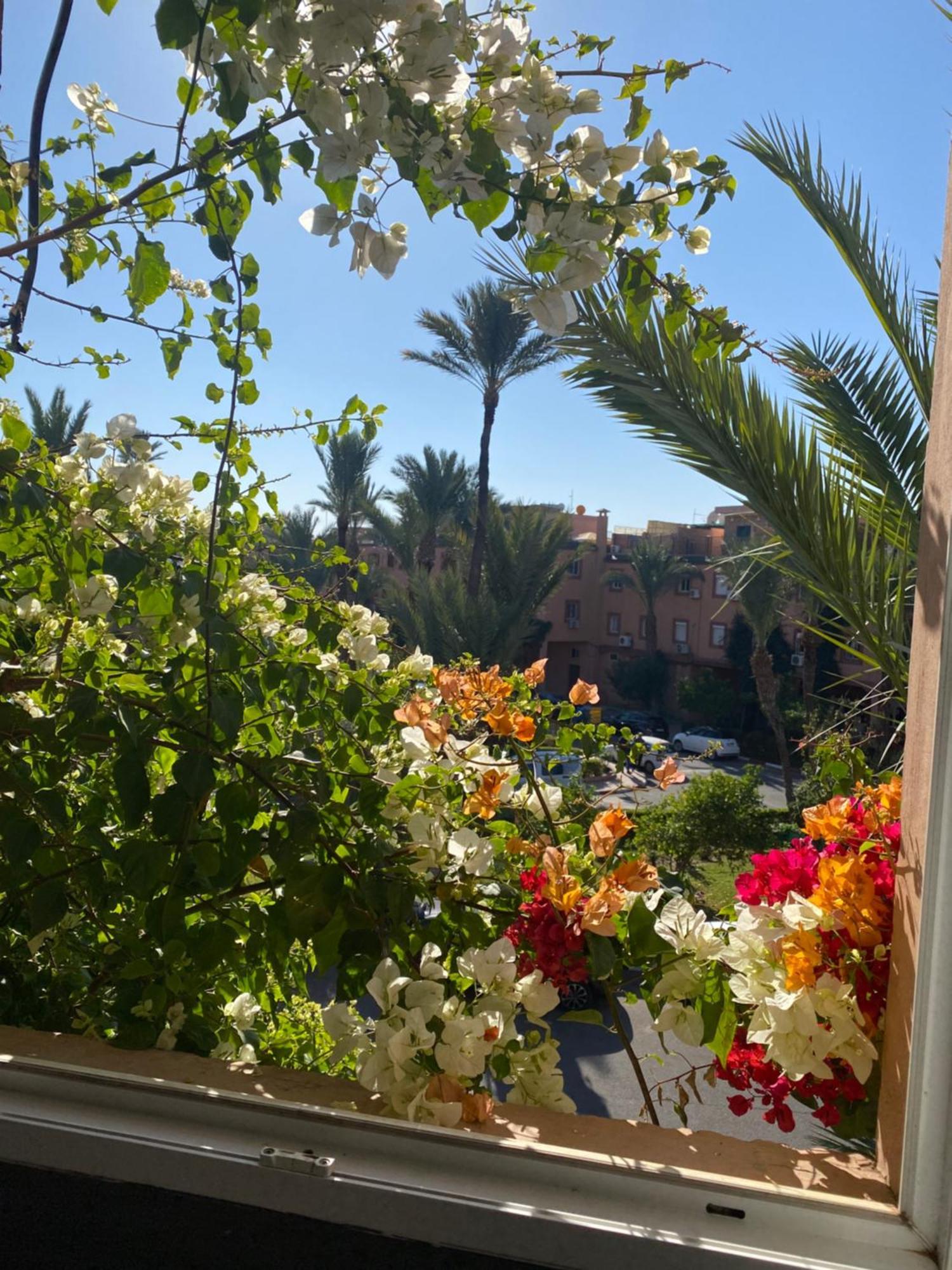 Riad Palmier Fleuri 马拉喀什 外观 照片