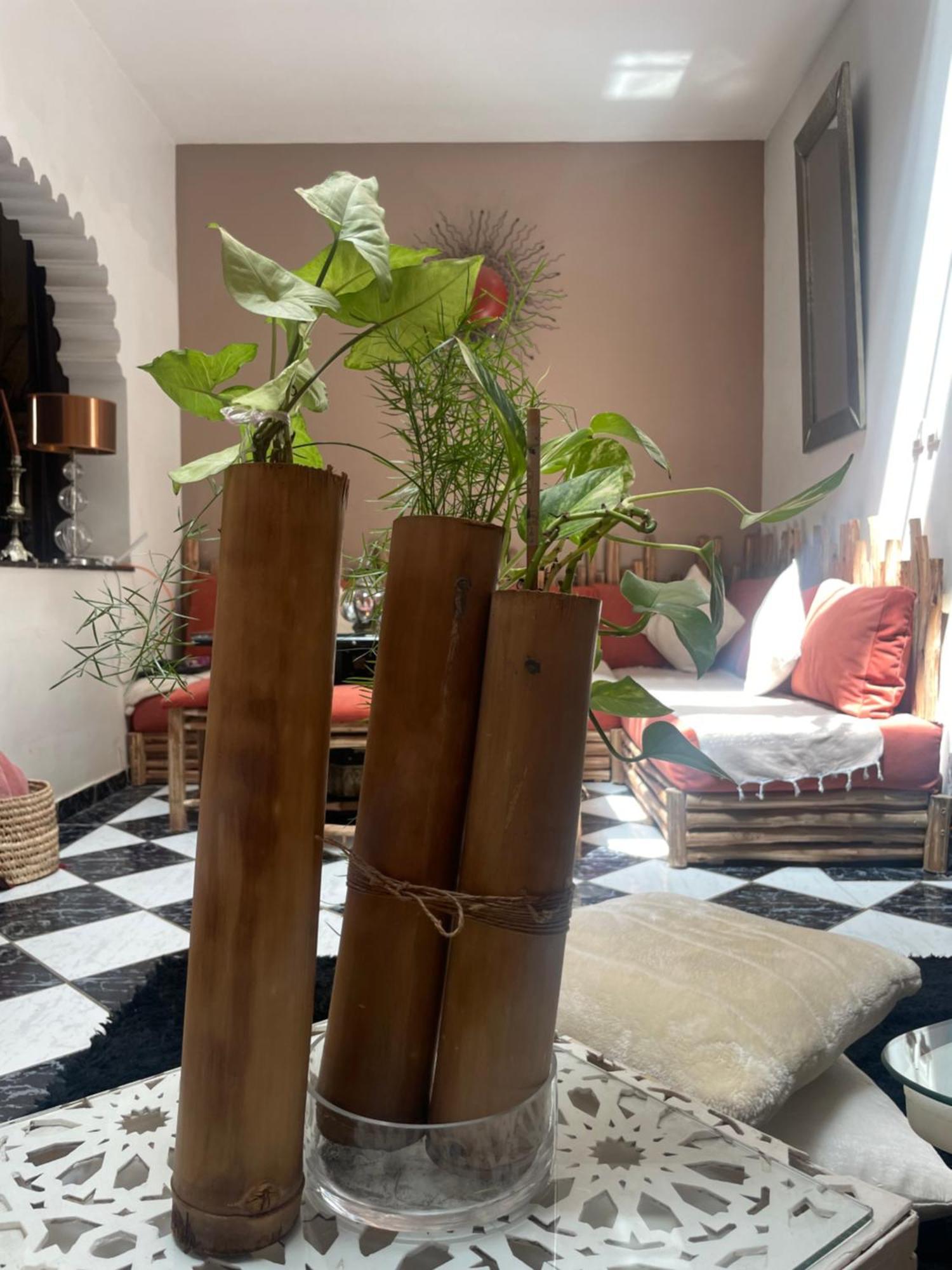 Riad Palmier Fleuri 马拉喀什 外观 照片